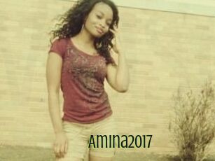 Amina2017