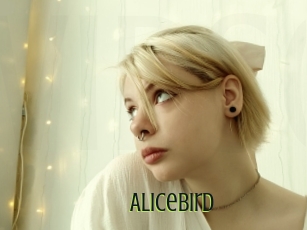 Alicebird