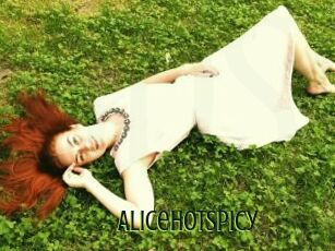 Alicehotspicy