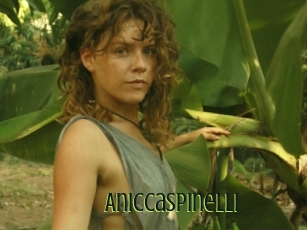 Aniccaspinelli