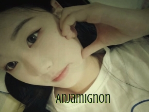 Anjamignon