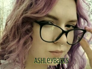 Ashleybarks
