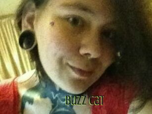 Buzz_Cat