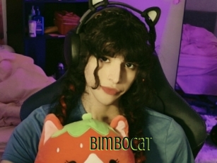 bimbocat Video sodomie anal