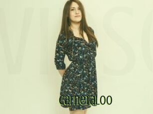 CarnetaLoo