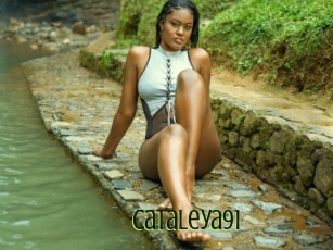 Cataleya91