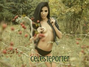 Celesteporter