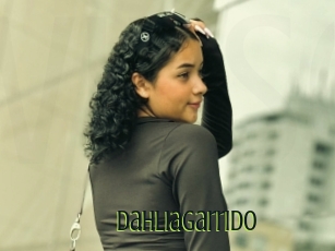 Dahliagarrido