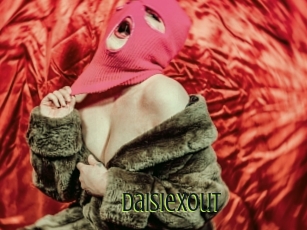 Daisiexout