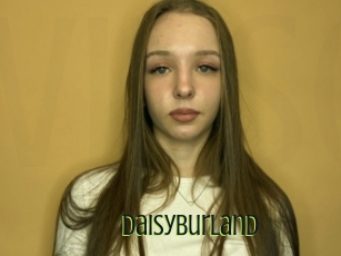 Daisyburland