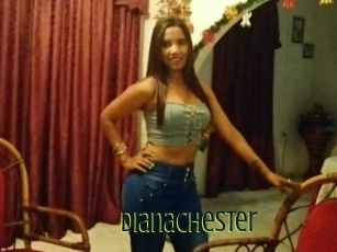 Dianachester