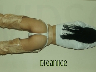Dreaniice