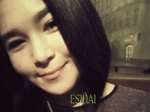 EsinAi