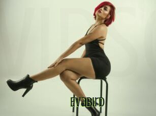 EvaBird
