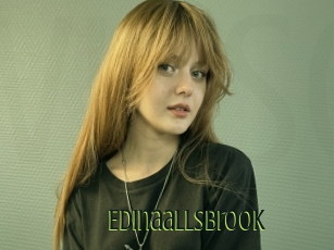 Edinaallsbrook