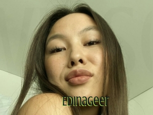 Edinageer