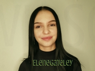 Elenegateley