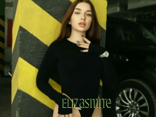 Elizasmite