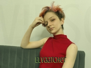 Elvaatcher