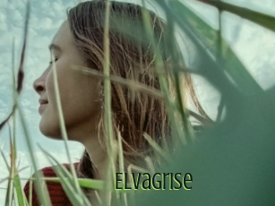 Elvagrise