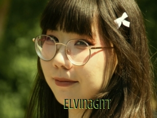 Elvinagitt