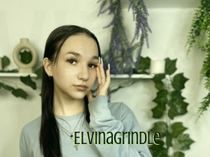 Elvinagrindle