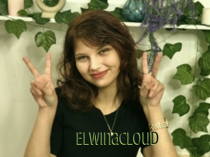 Elwinacloud