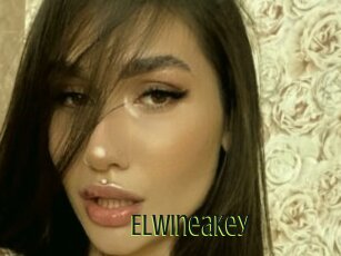 Elwineakey