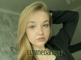 Elwinedanbury