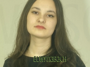 Elwynabach