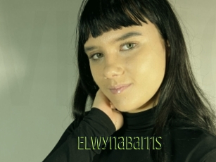 Elwynabarris