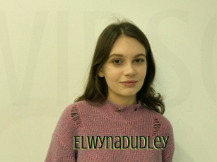 Elwynadudley