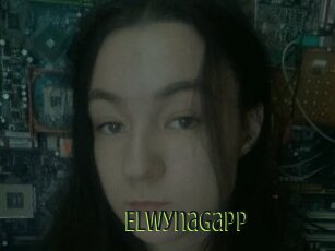 Elwynagapp