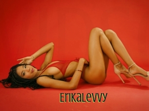 Erikalevvy