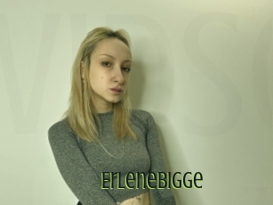 Erlenebigge