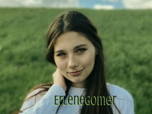 Erlenegomer