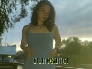 Erlineganter