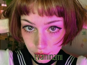 Evaminami