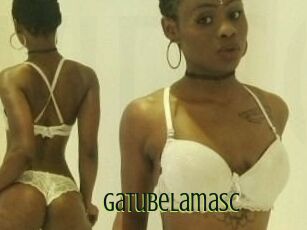 Gatubela_masc