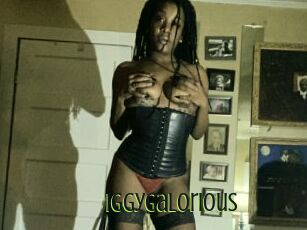 IggyGalorious