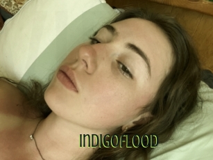 Indigoflood