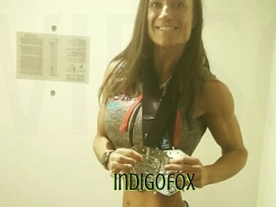 Indigofox