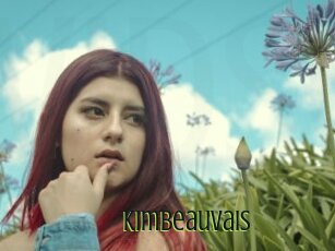Kimbeauvais