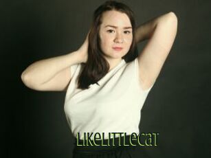 LikeLittleCat