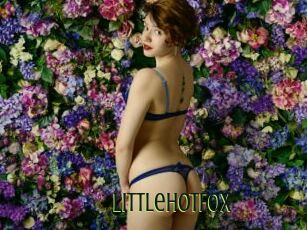 LittleHotFox