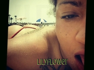 Lilyflower