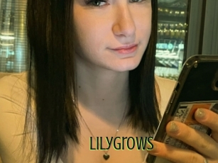 Lilygrows