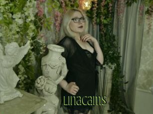 Linacams