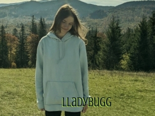 Lladybugg