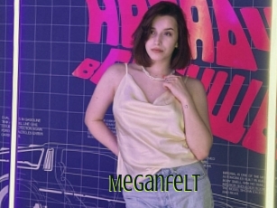 Meganfelt